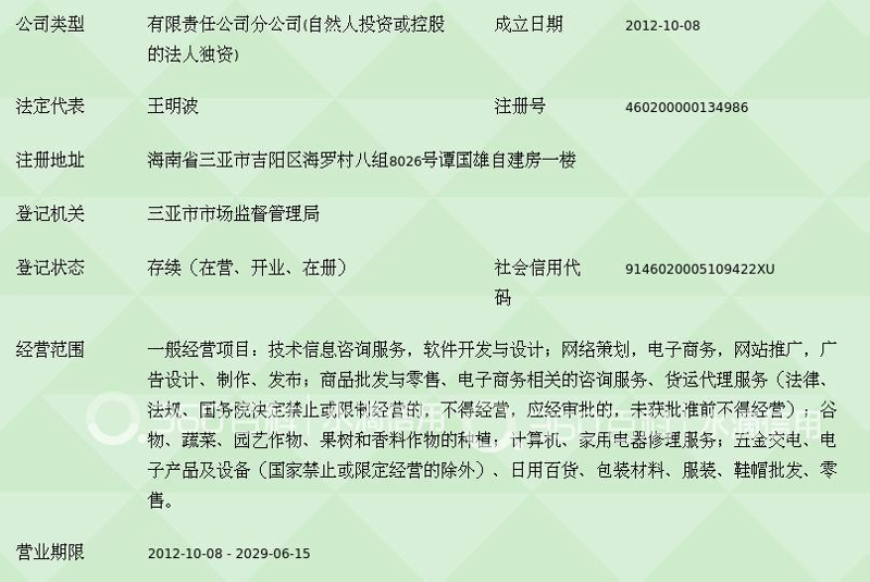 企业商务咨询:构建未来的桥梁